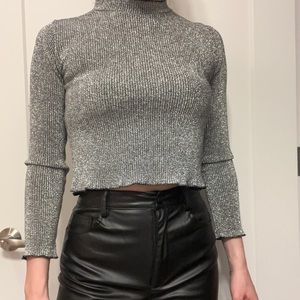 Silver Long Sleeve Party Crop Top
